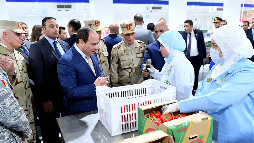 المشروع القومى للصوب الزراعية