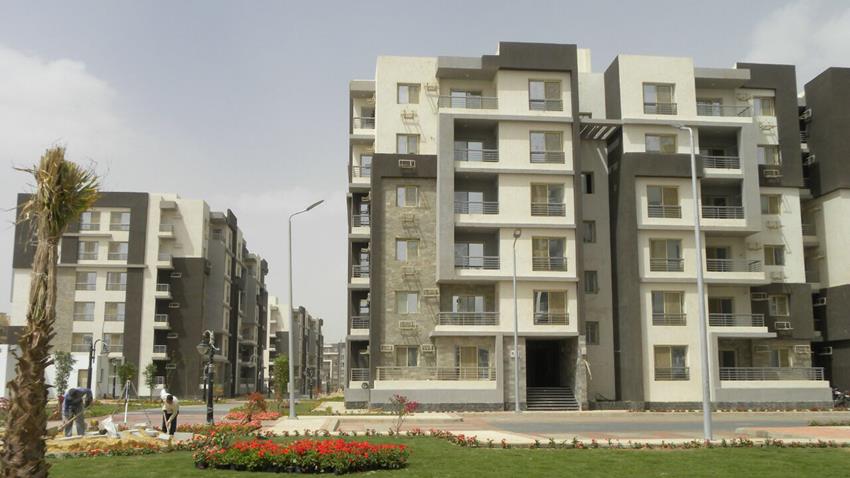 دار مصر