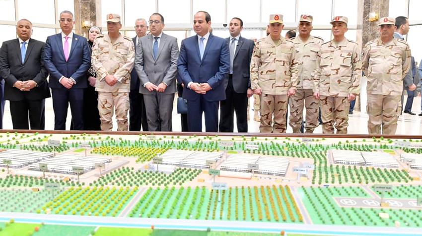 مشروعات قومية في مجال الإنتاج الحيواني المتكامل