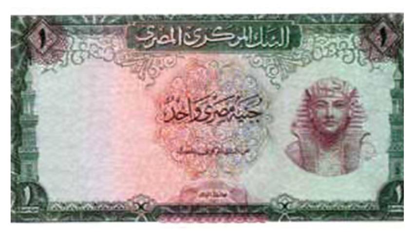 The Egyptian Pound by the Central Bank of Egypt
