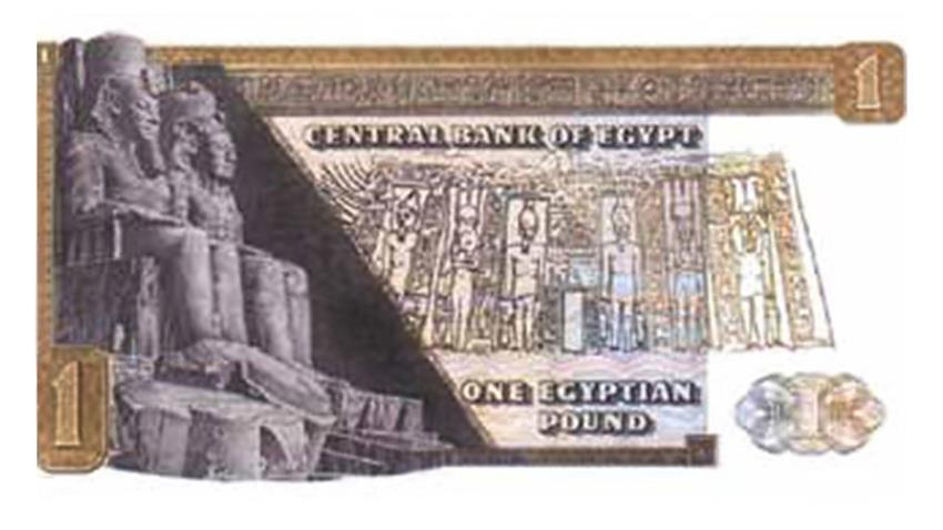 The New Design