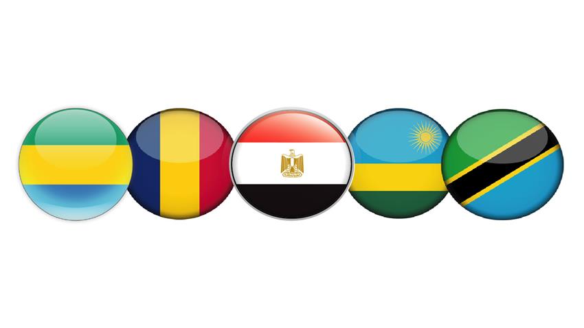 جولة الرئيس  الأفريقية